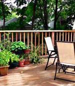deck with chairs and plants